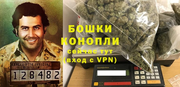 ALPHA PVP Осинники