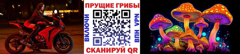 Купить где  Приморск  Псилоцибиновые грибы Magic Shrooms 