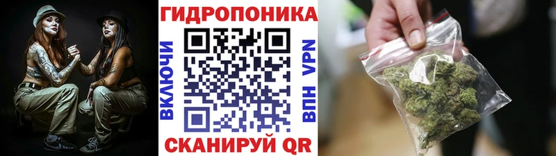 Канабис AK-47  Купить где  Приморск 